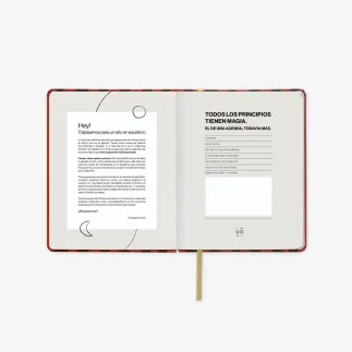 AGENDA ANUAL 2026 SEMANA VISTA - PALM MINI   