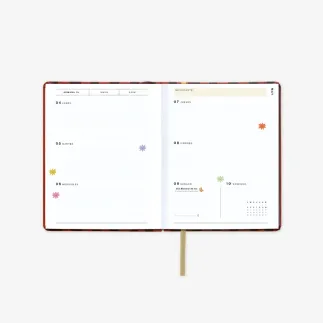 AGENDA ANUAL 2026 SEMANA VISTA - PALM MINI   