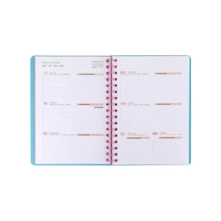 Agenda Mr. Wonderful Basic 2026-2027 To Plan or Not to Plan