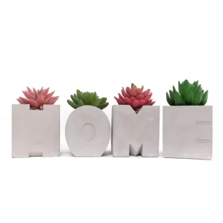 SUCULENTAS CON MACETERO - HOME 
