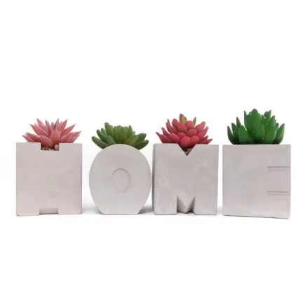 SUCULENTAS CON MACETERO - HOME 