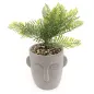 PLANTA ARTIFICIAL CON MACETERO - ROSTRO PLANTA ARTIFICIAL CON MACETERO - ROSTRO